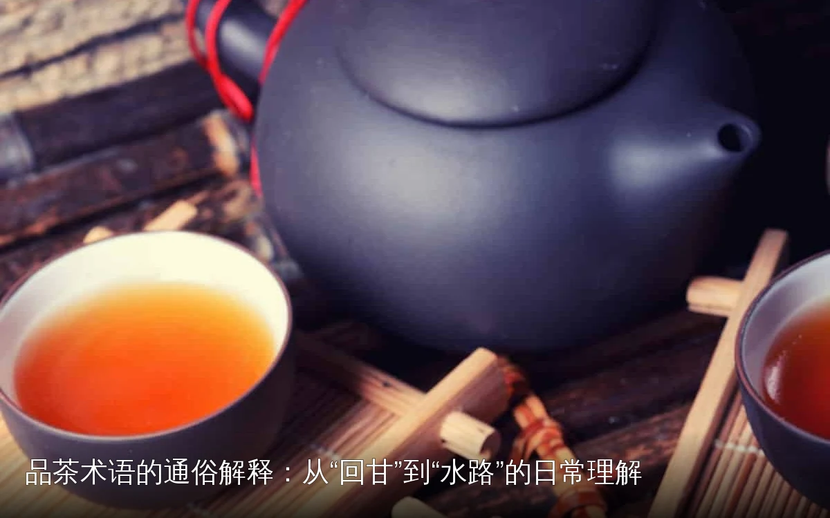 品茶术语的通俗解释:从“回甘”到“水路”的日常理解